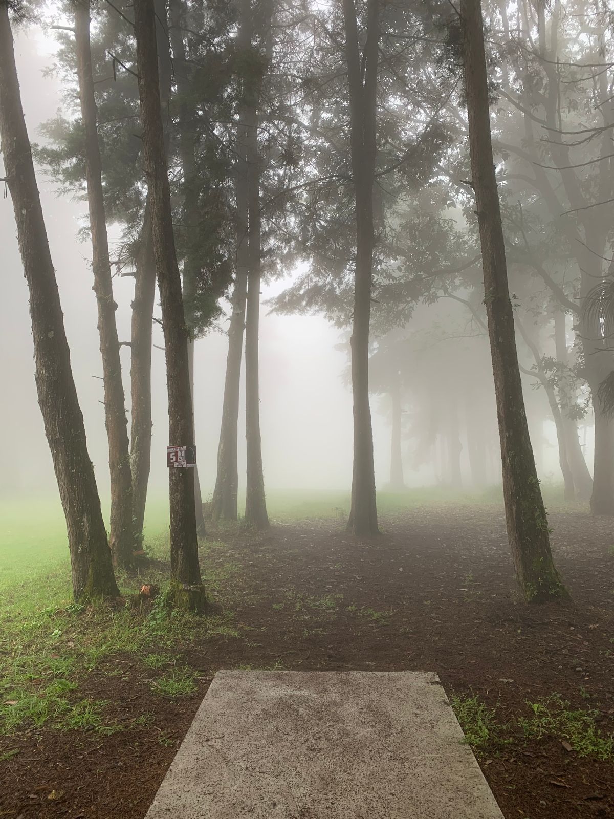 mountain fog