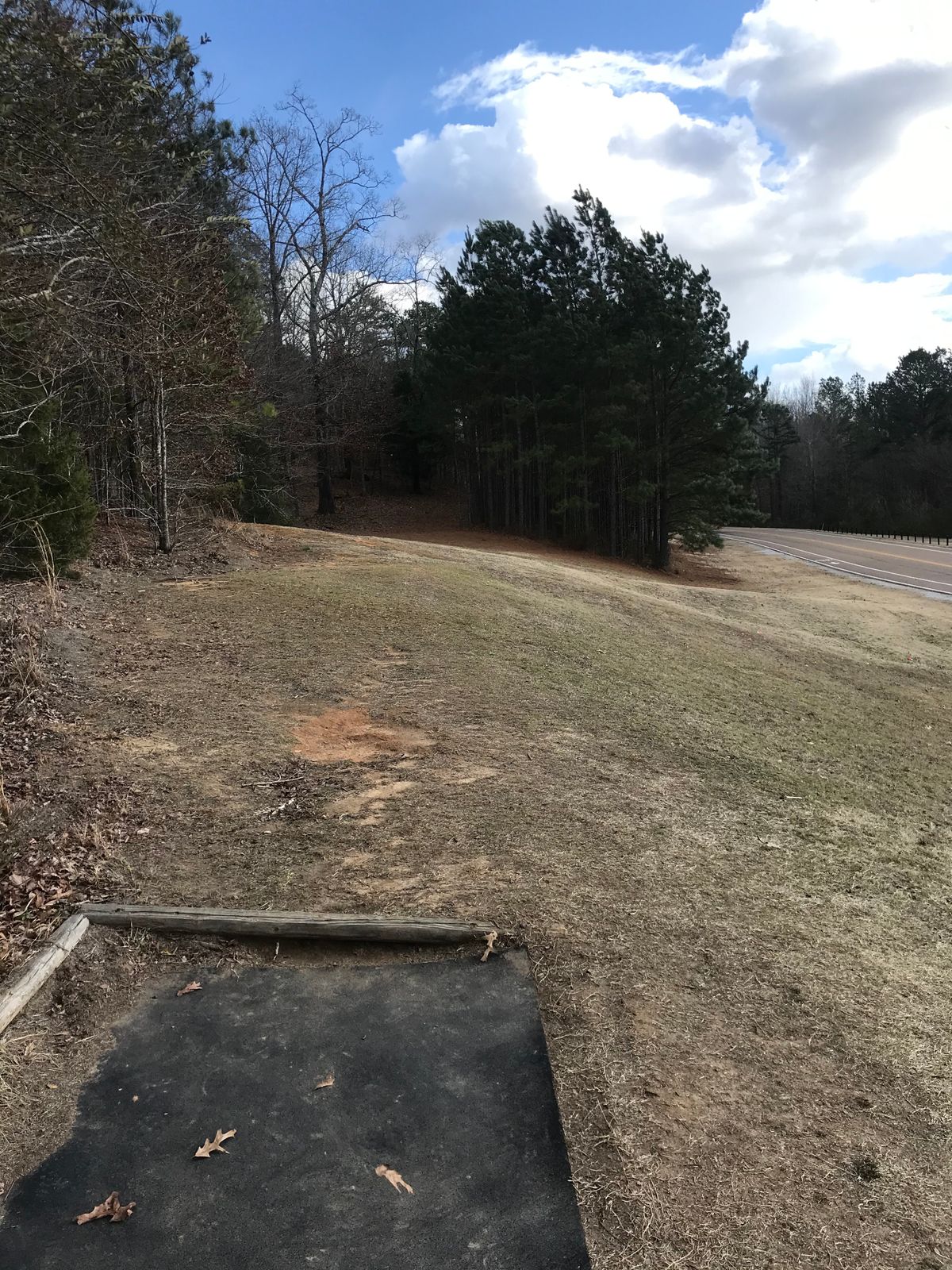 Hole 15: Tee Pad