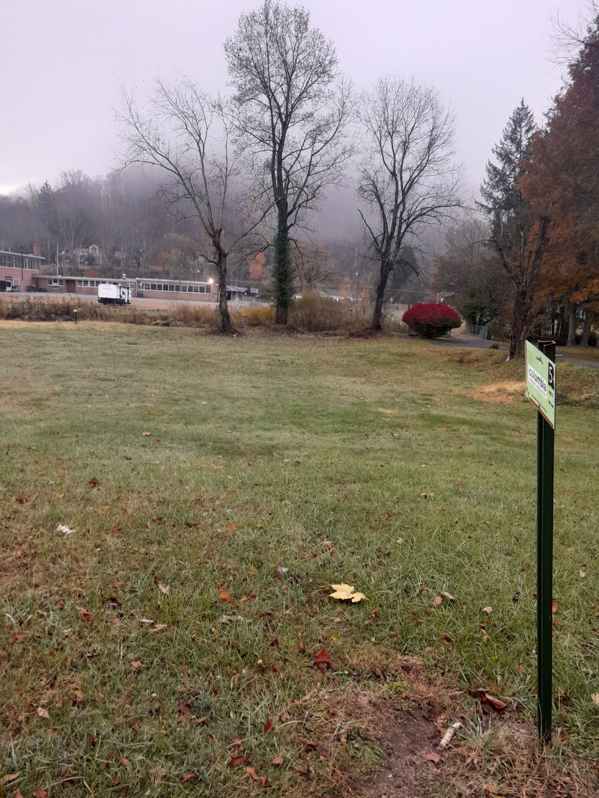 Hole 5 tee to basket