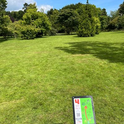 Hole 4
