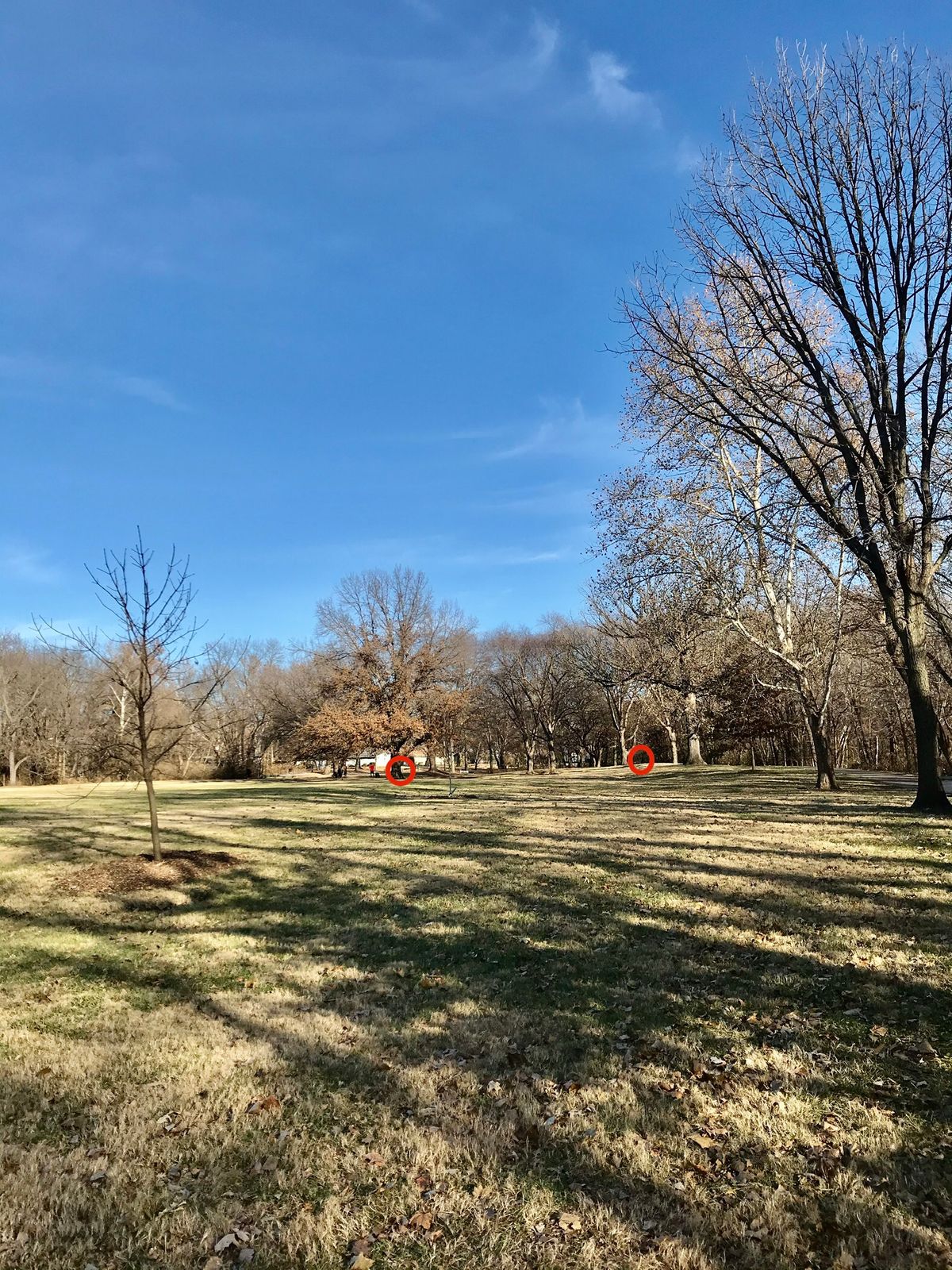 Hole 15 Tee