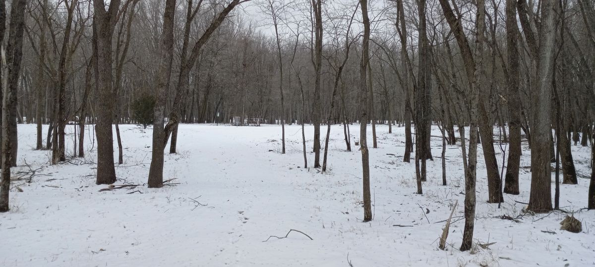 Hole six fairway.