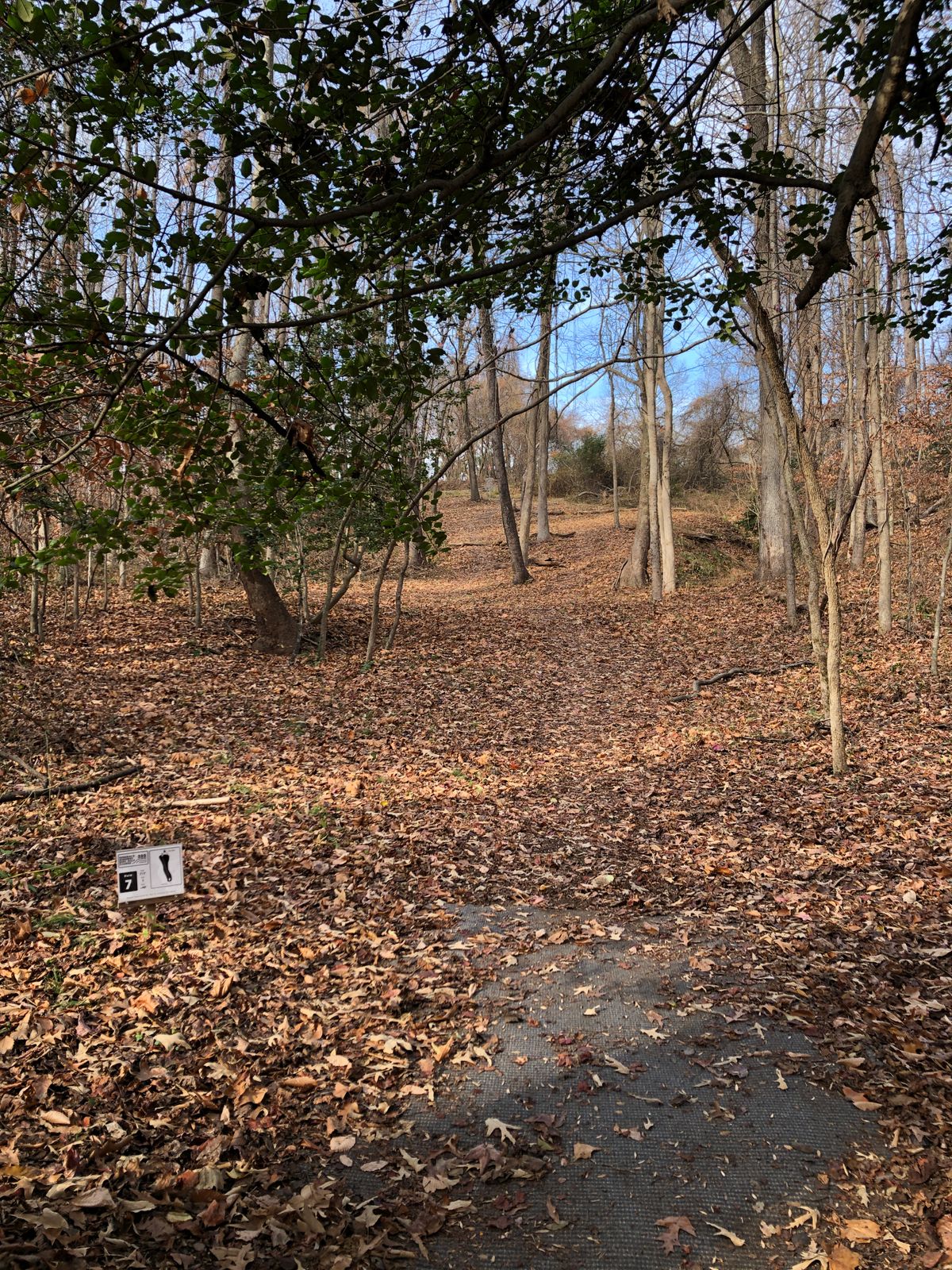 Hole 7 tee (steep uphill)