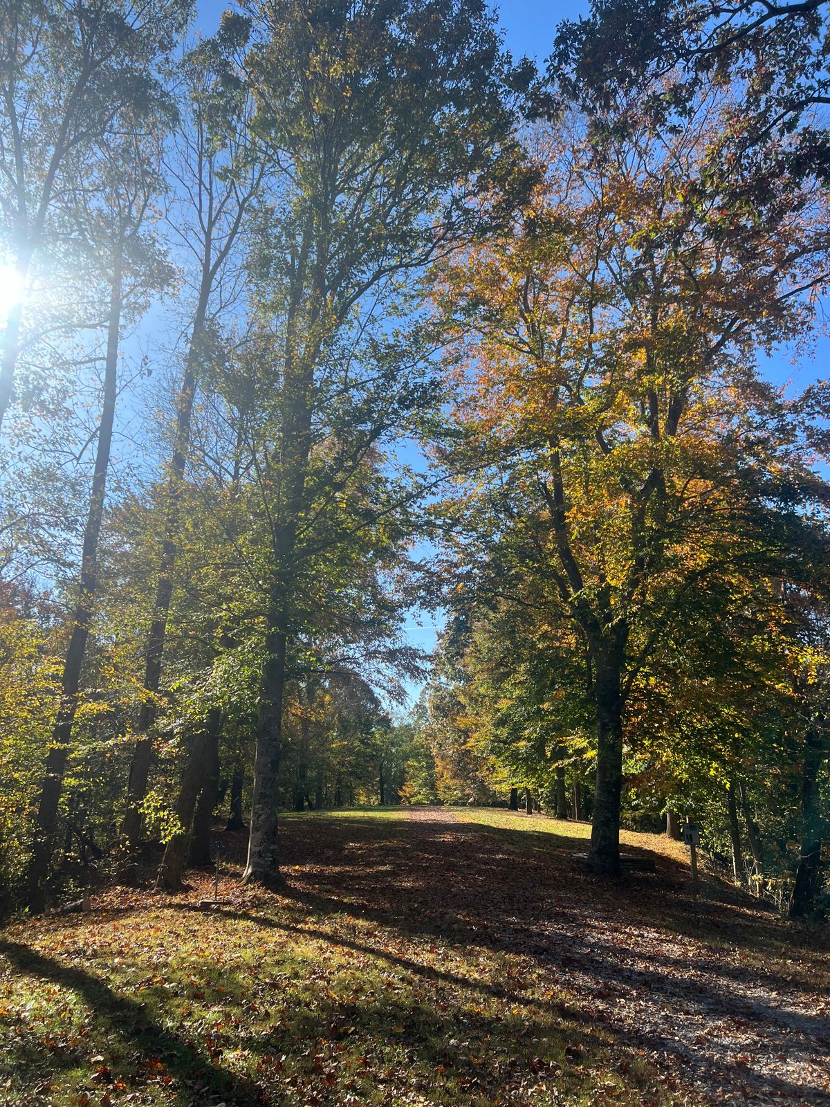 Hole 13