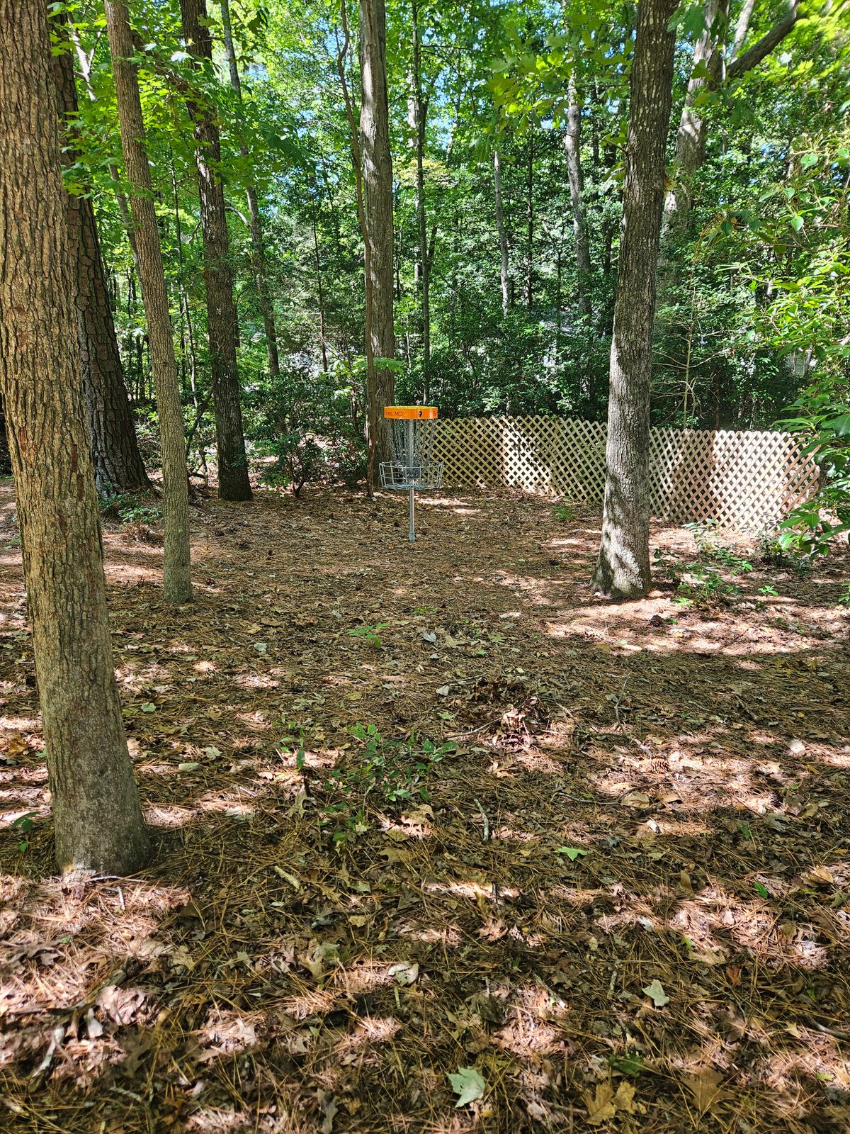Hole 9's green