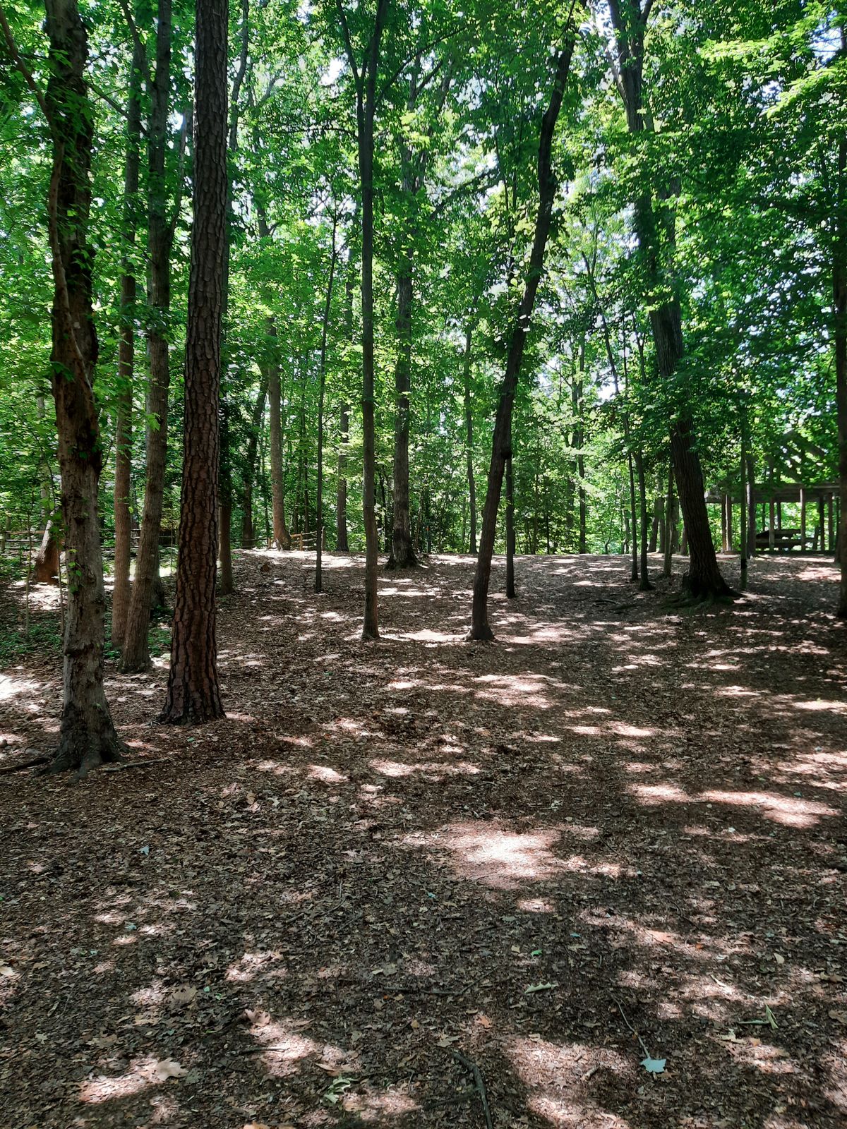 Hole 14 Fairway