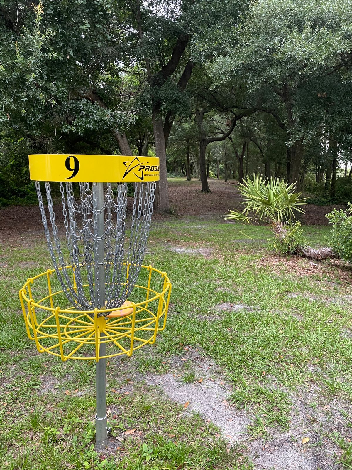 Hole 9