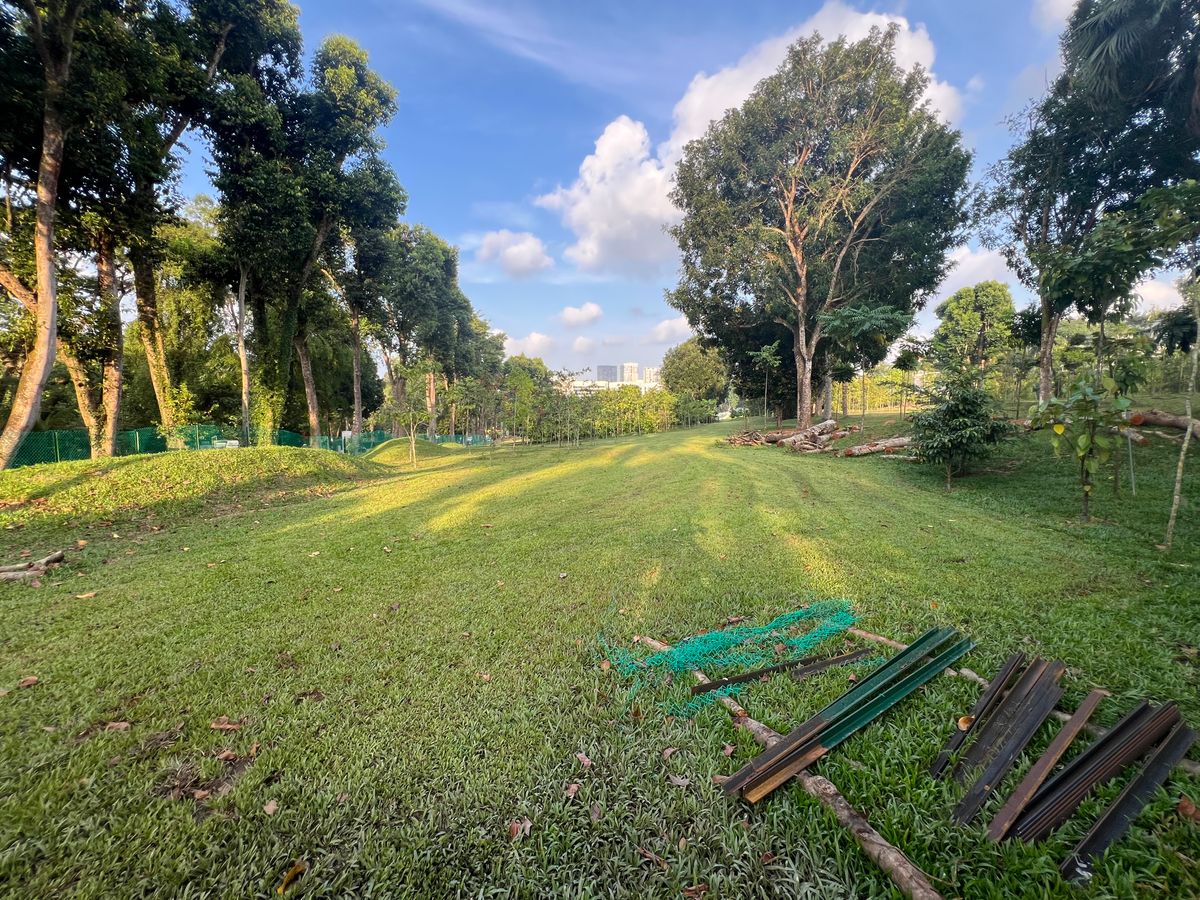 Hole 6 3rd landing zone looking back towards tee.