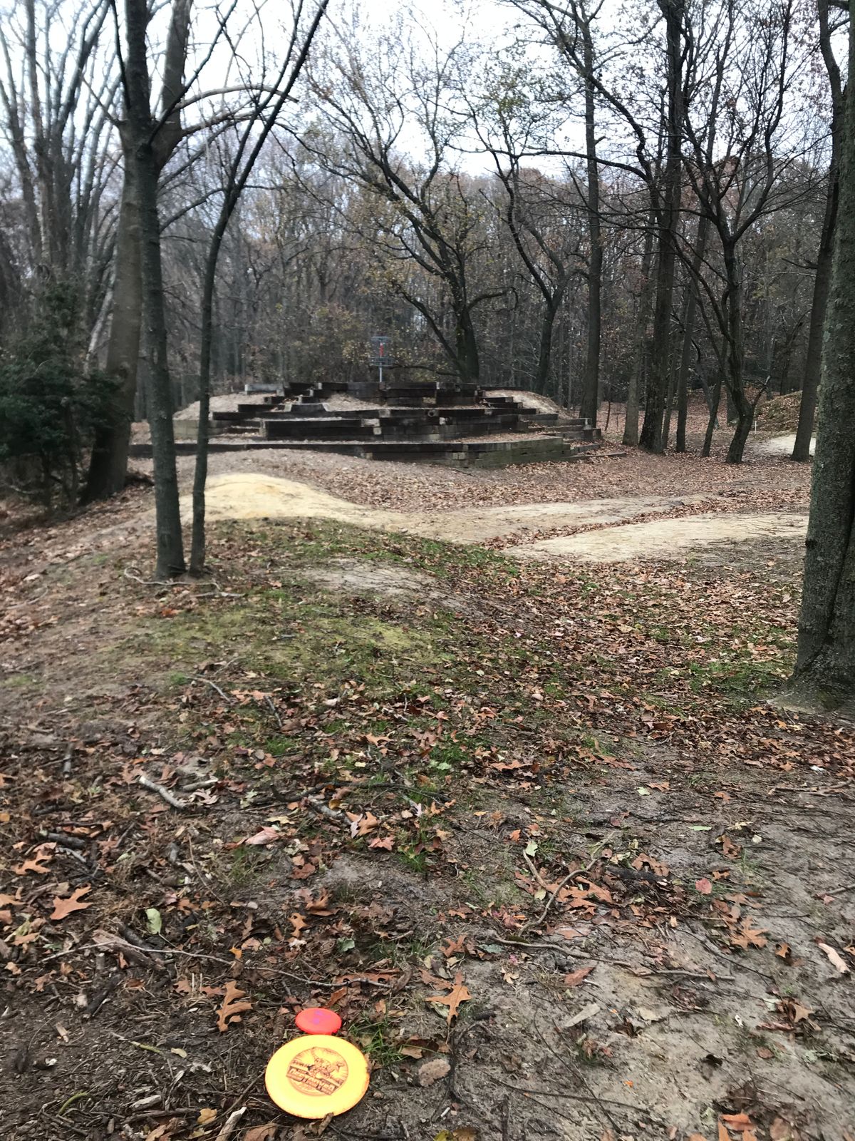 Hole 6 basket