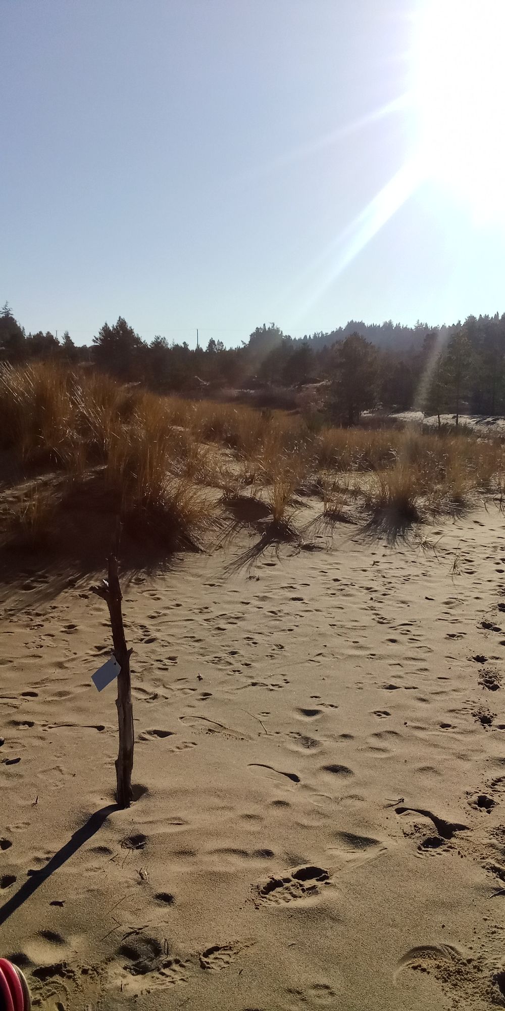 Hole 14