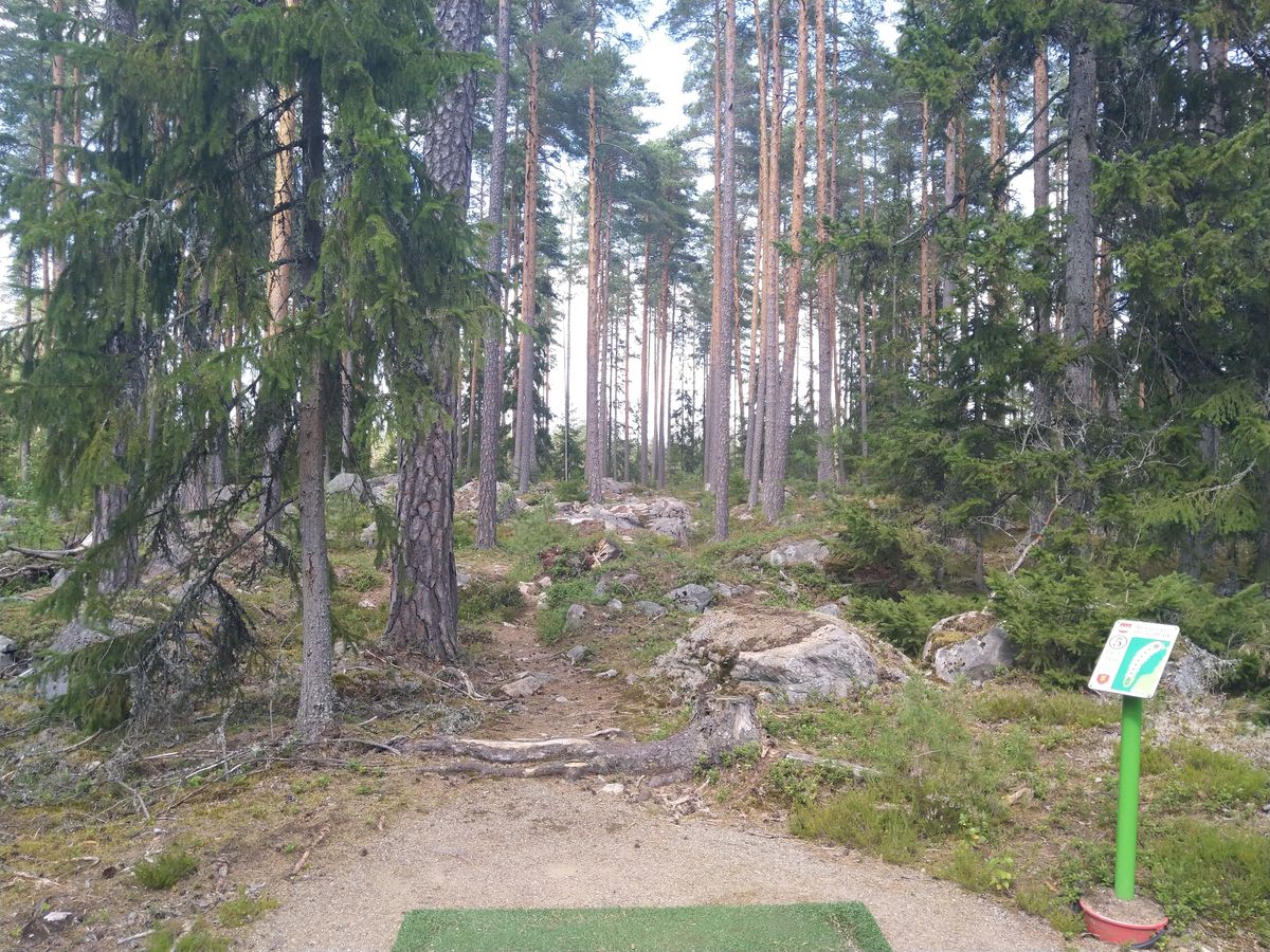 Väylä 5