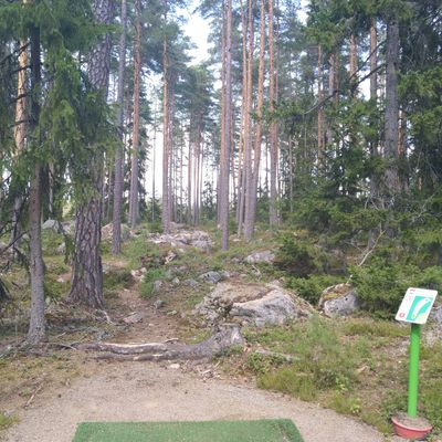 Väylä 5