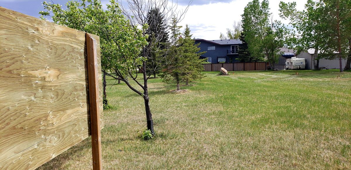 New barriers in place, boulders on 1, 4 and 9 guarding landing zones for drives and 100 new trees 😁