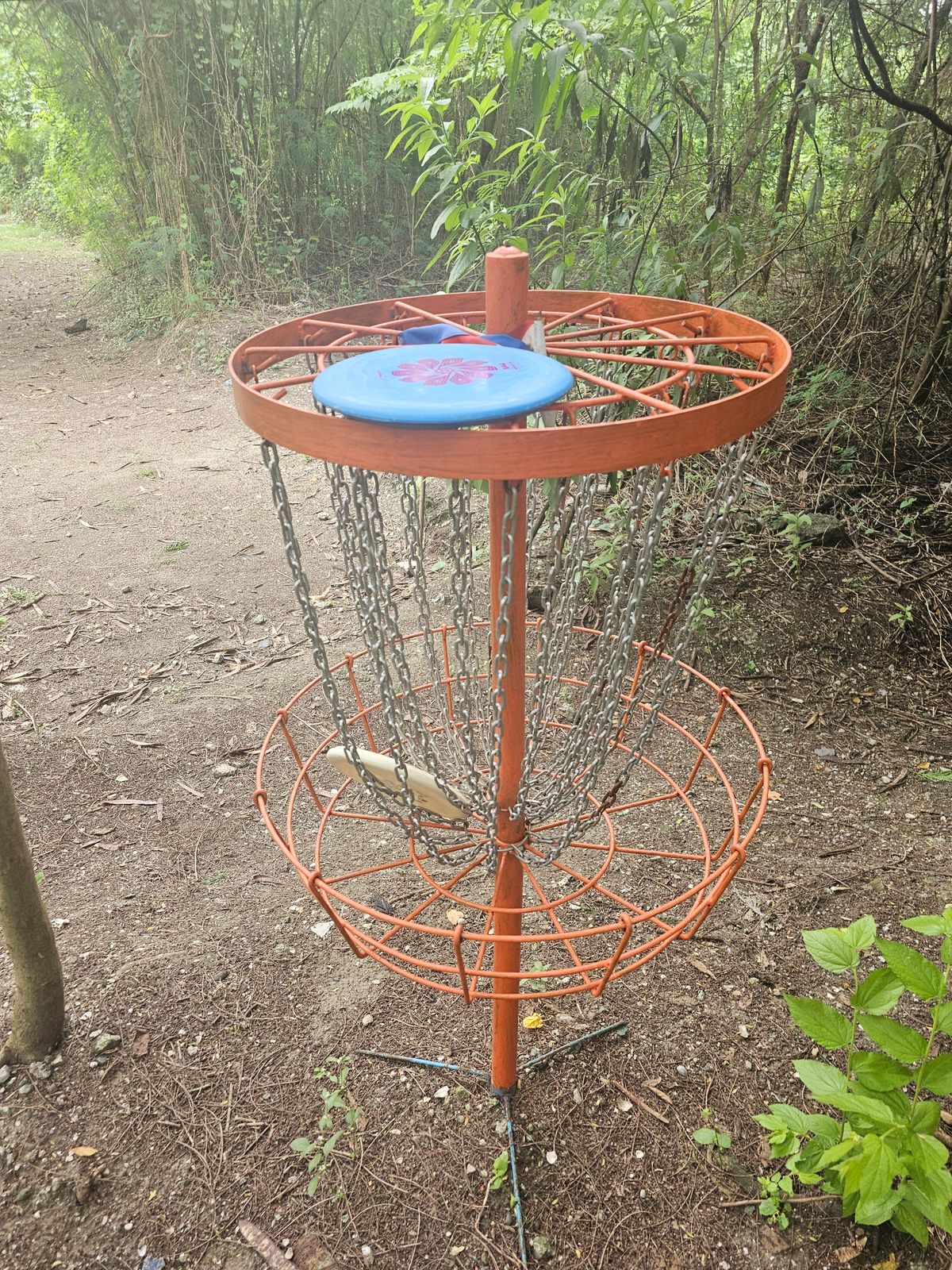 Basket for hole 7
