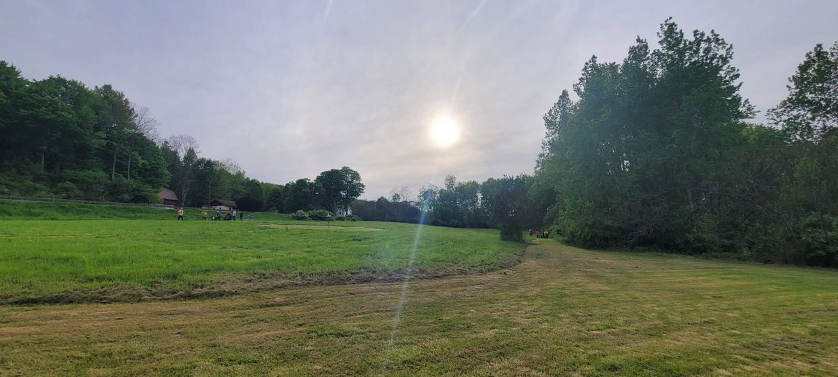Ross Mills DGC