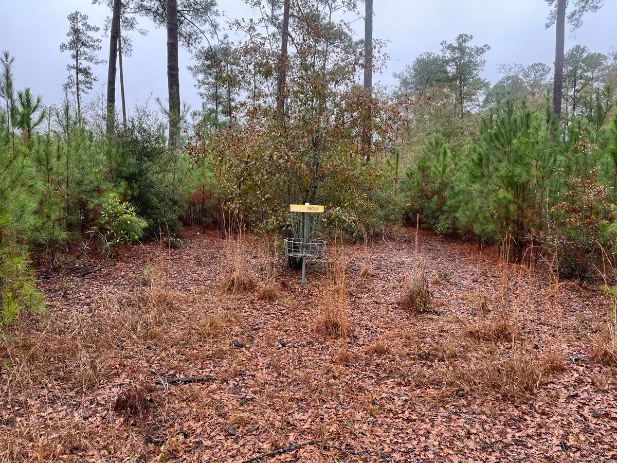 Hole 2 basket