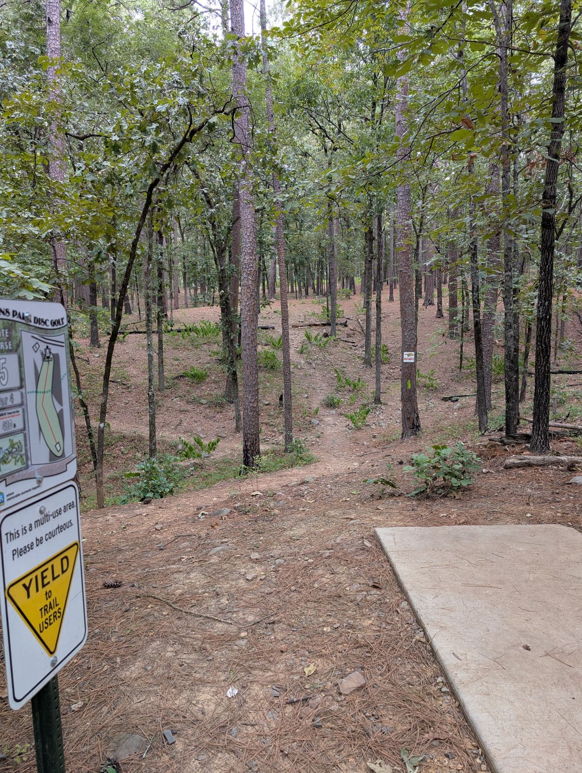 View from tee 15
