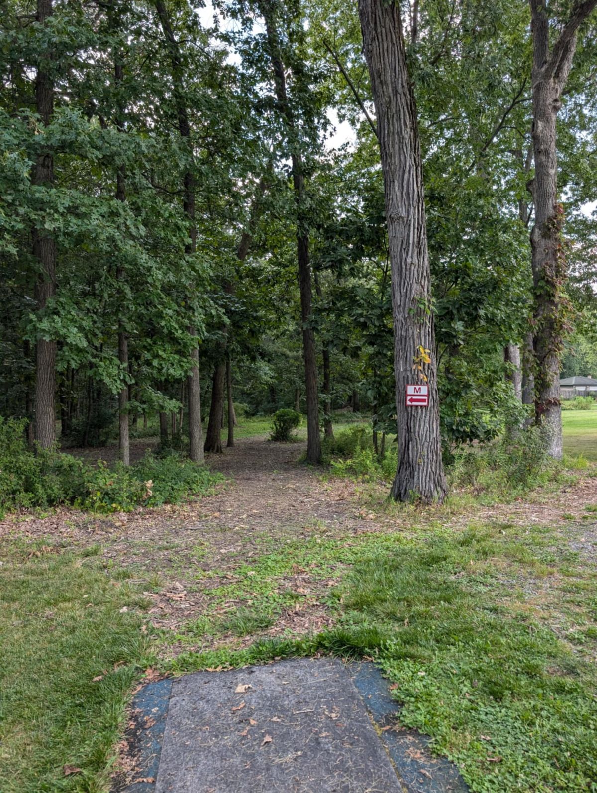 A7