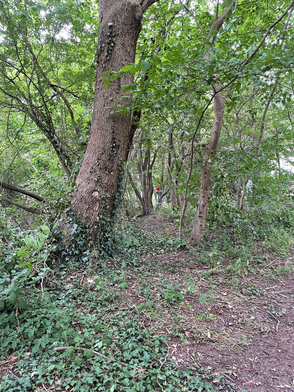 Hul 3
