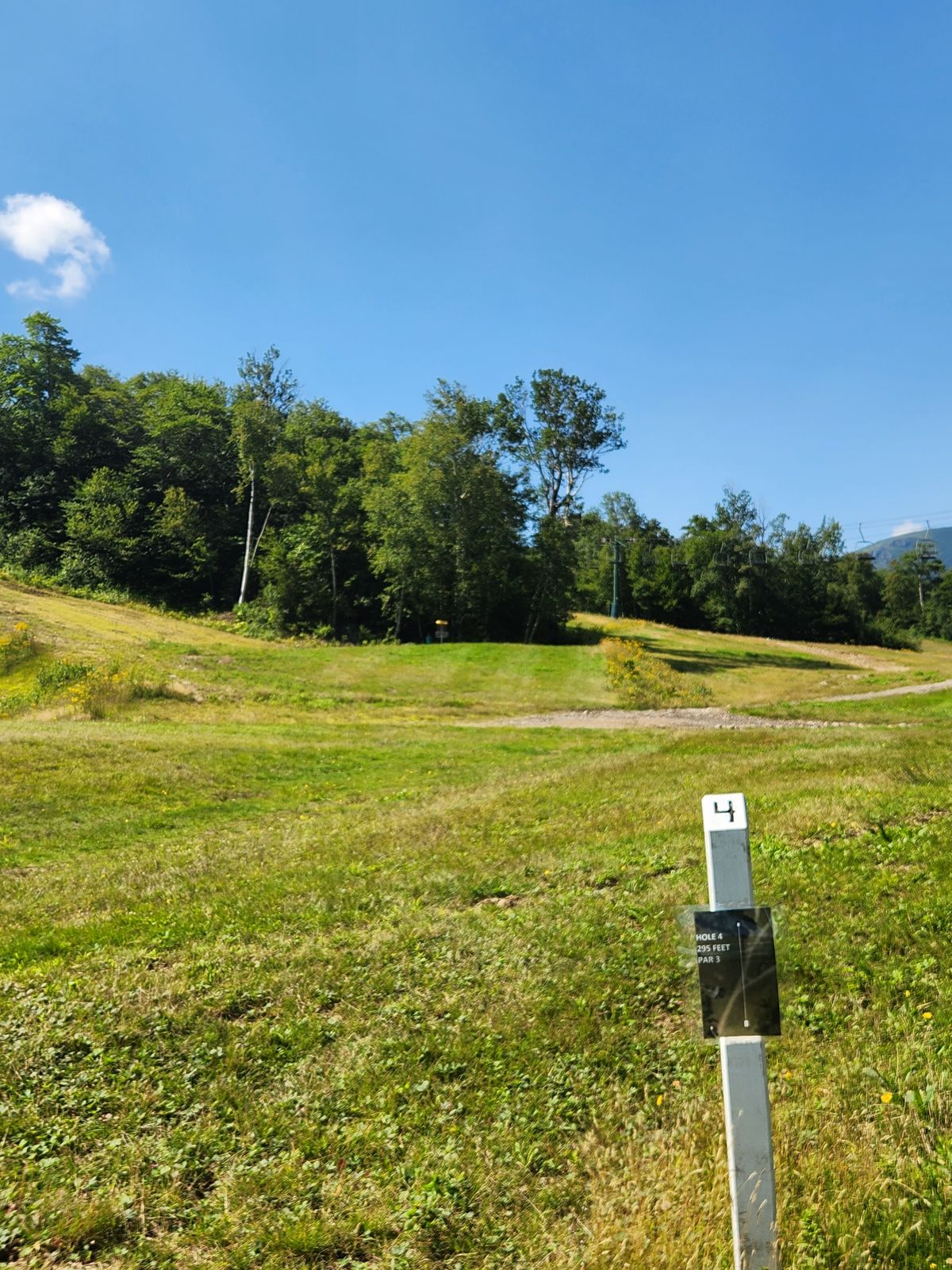 Hole 4 from the tee