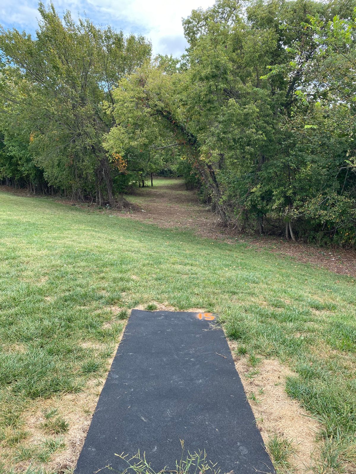 Hole 15 tee
