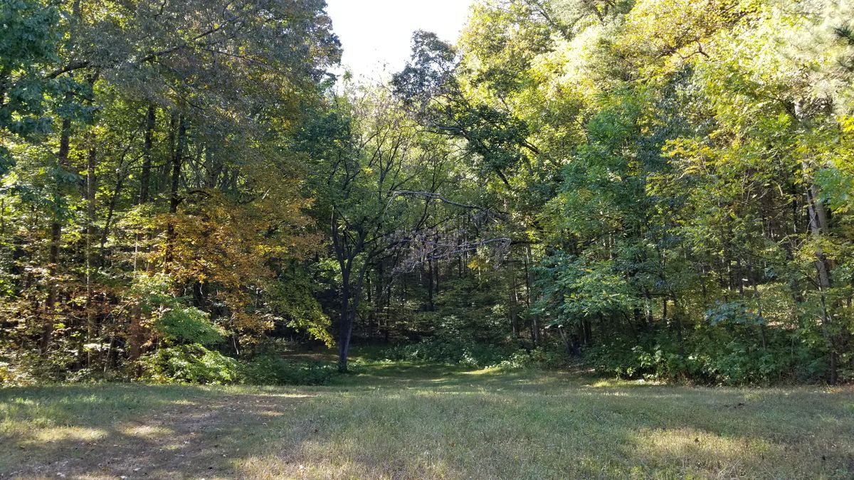 Hole 5 fairway and pin