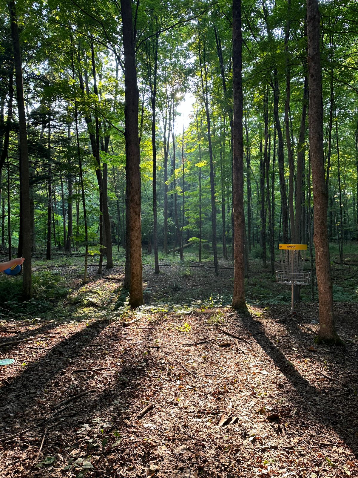 Hole 4