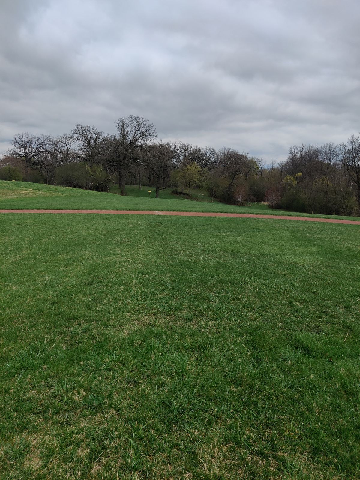 Hole 12 basket from about 350' from the tee