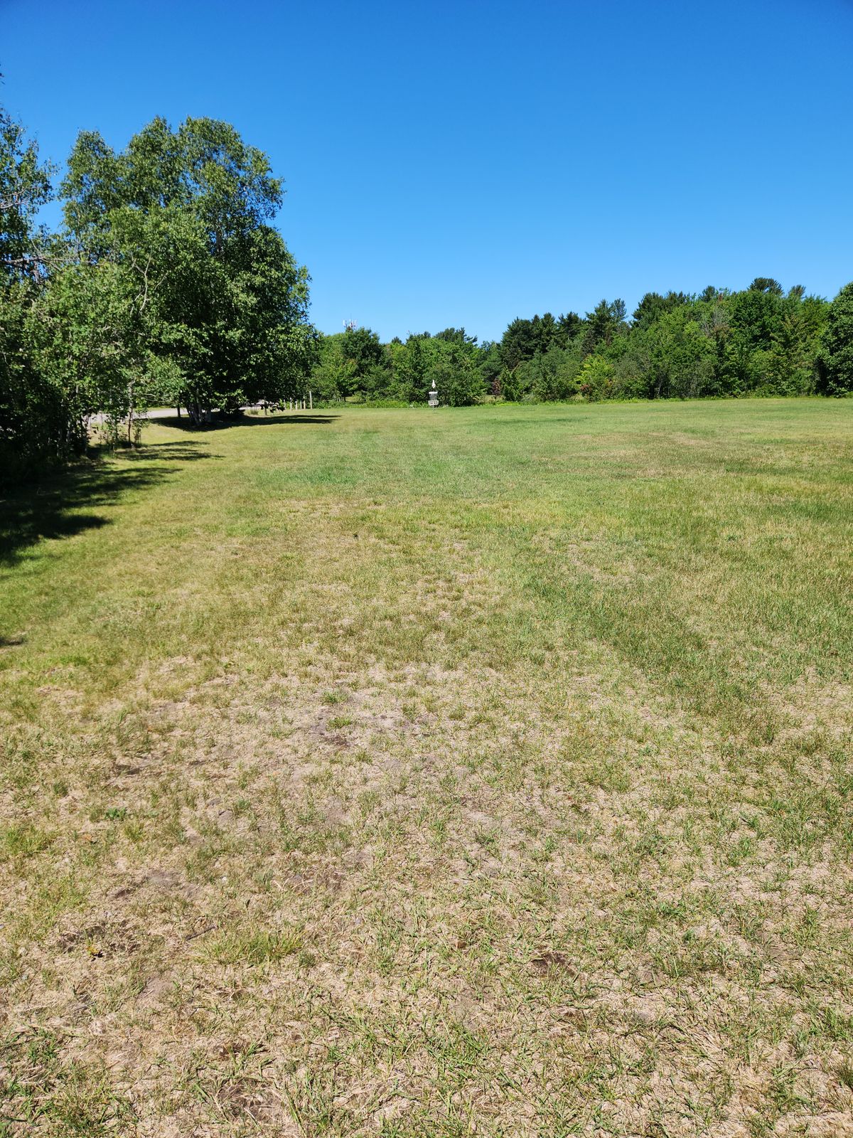 The tee for 1 is behind the sign and to the left. It is an easy open basket across a field. The road is guarded by a row of trees.