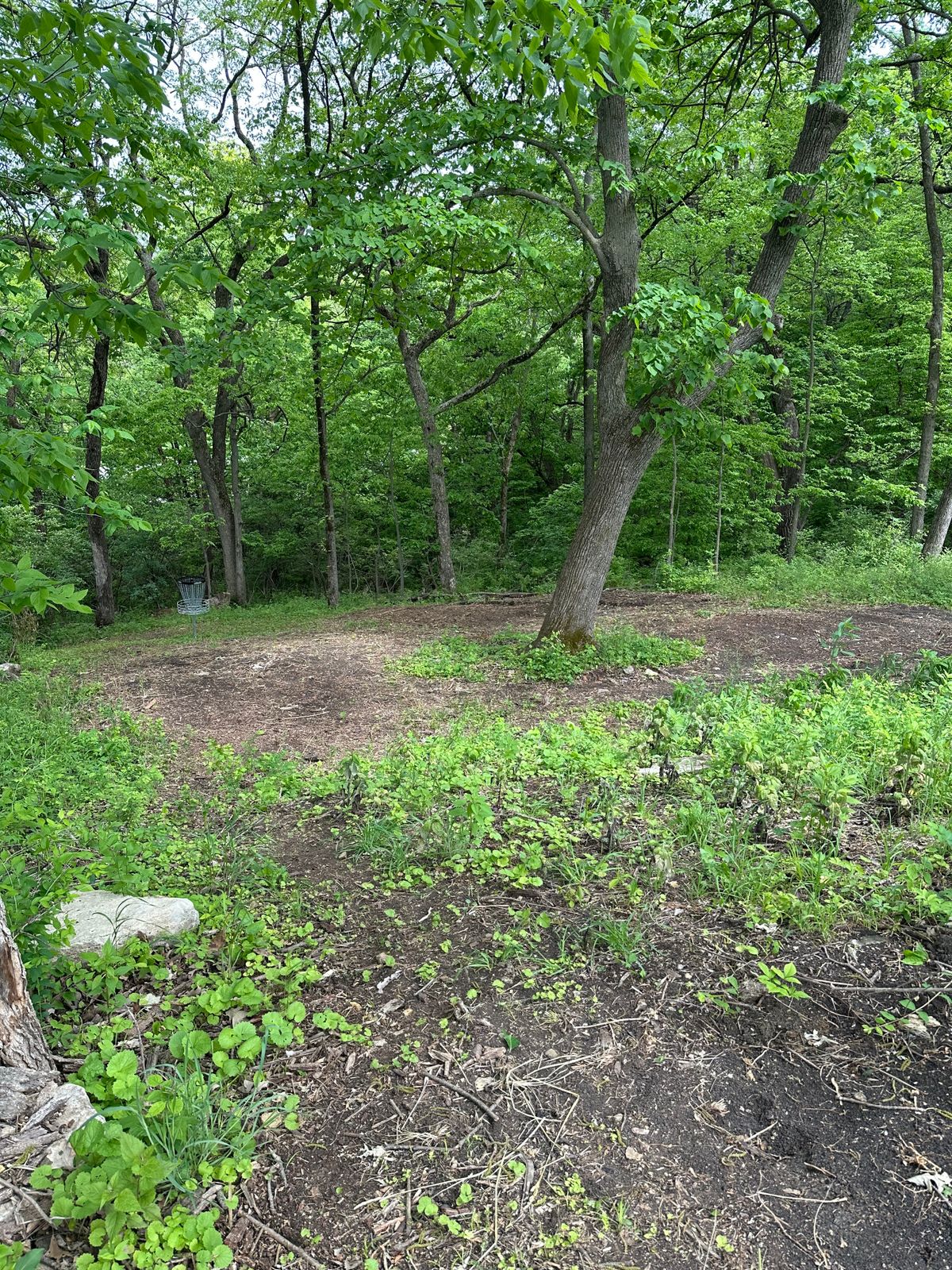 2 Green