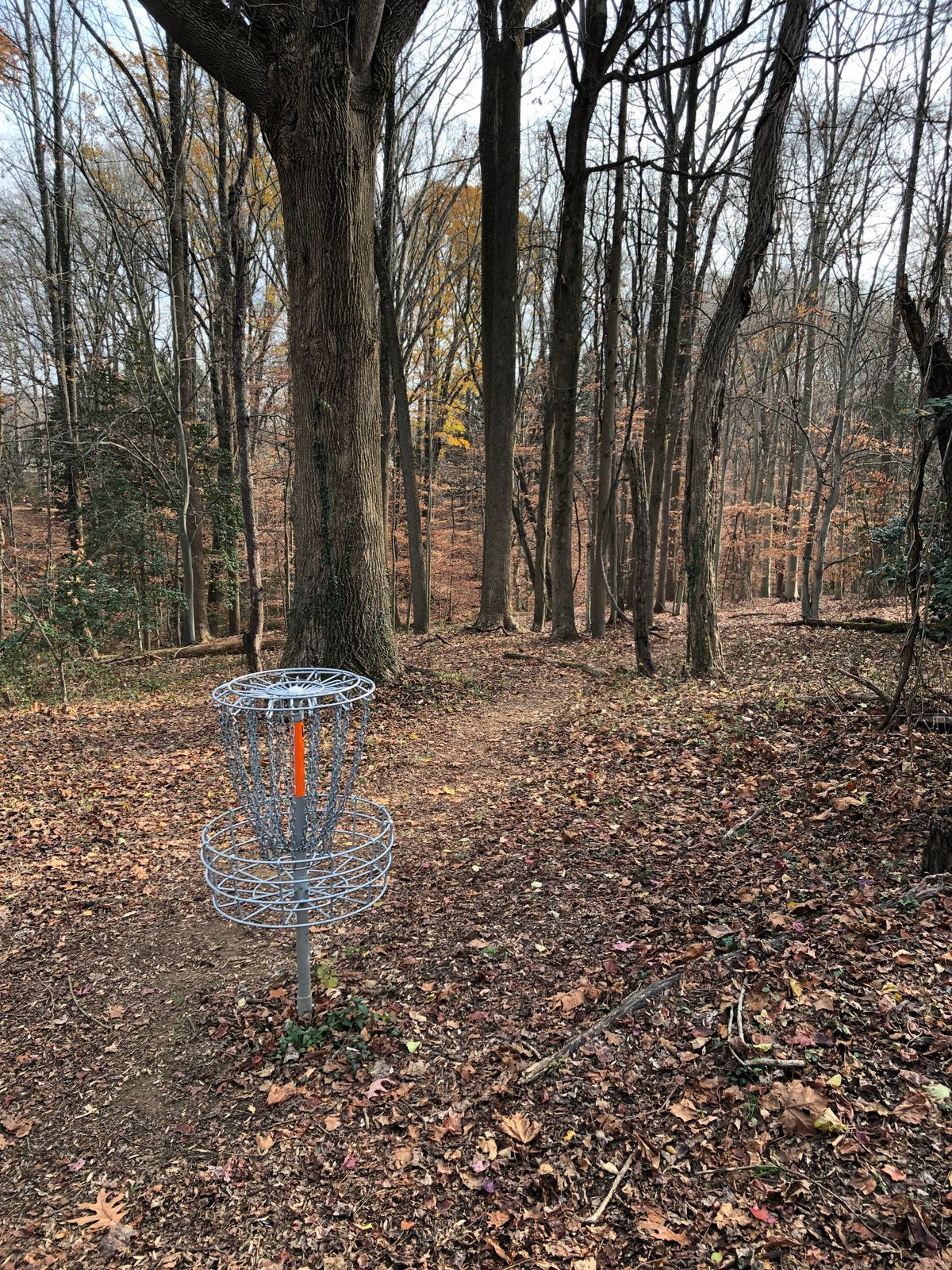 Hole 5 basket (looking downhill toward tee)