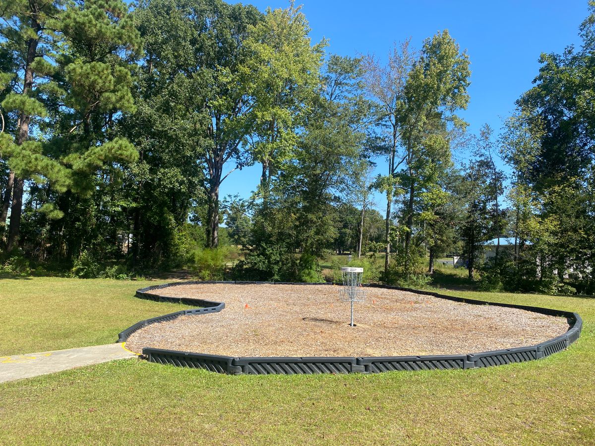 Hole #4 island green