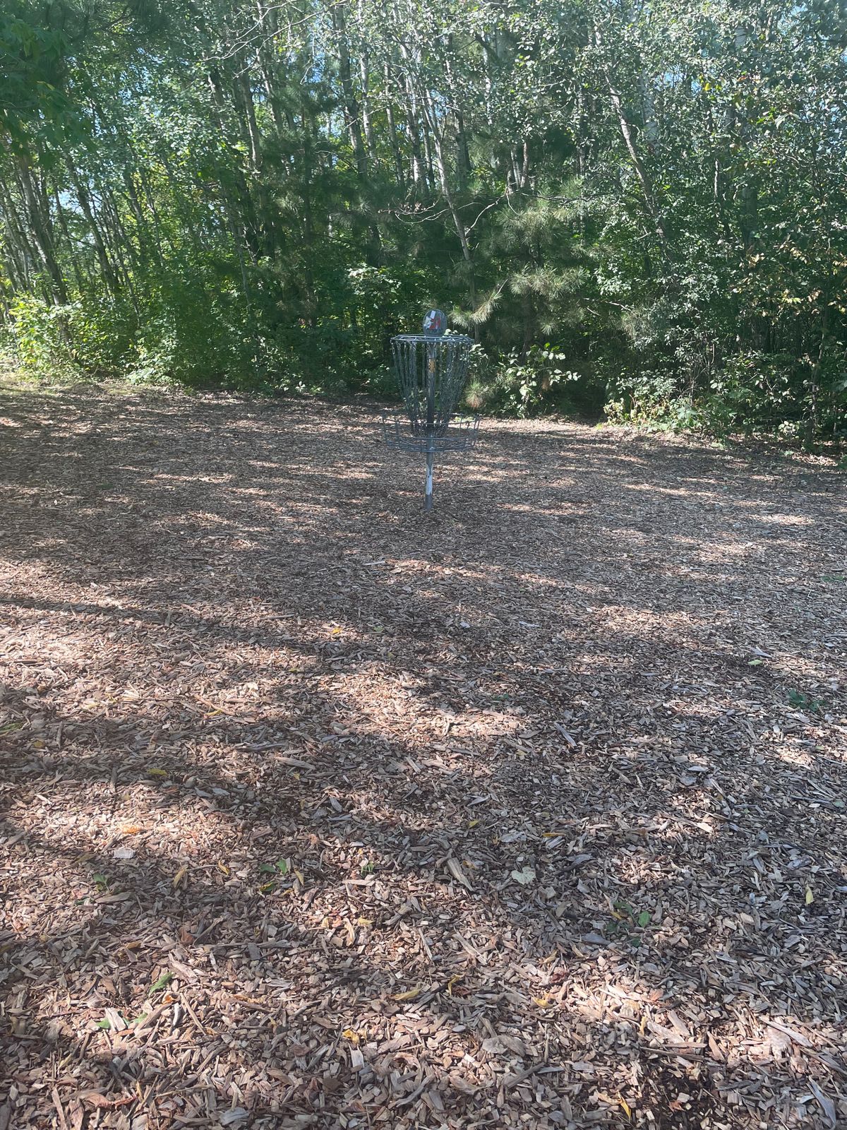 Hole 3 basket