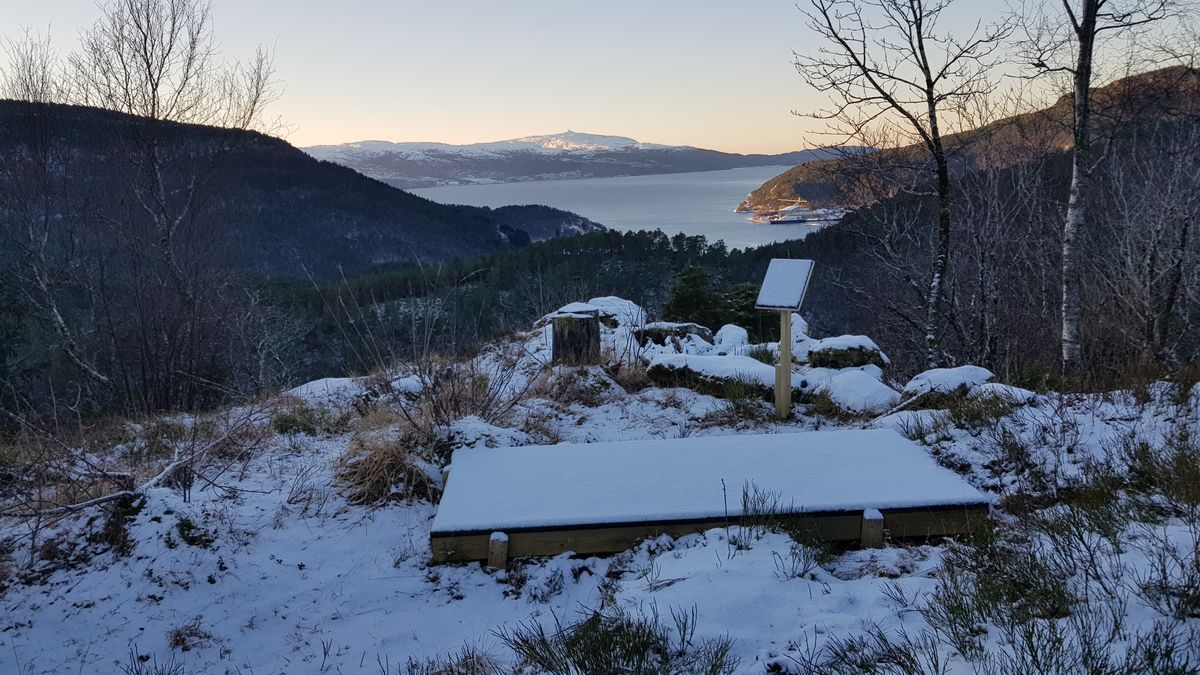 Utsikt fra hol 5