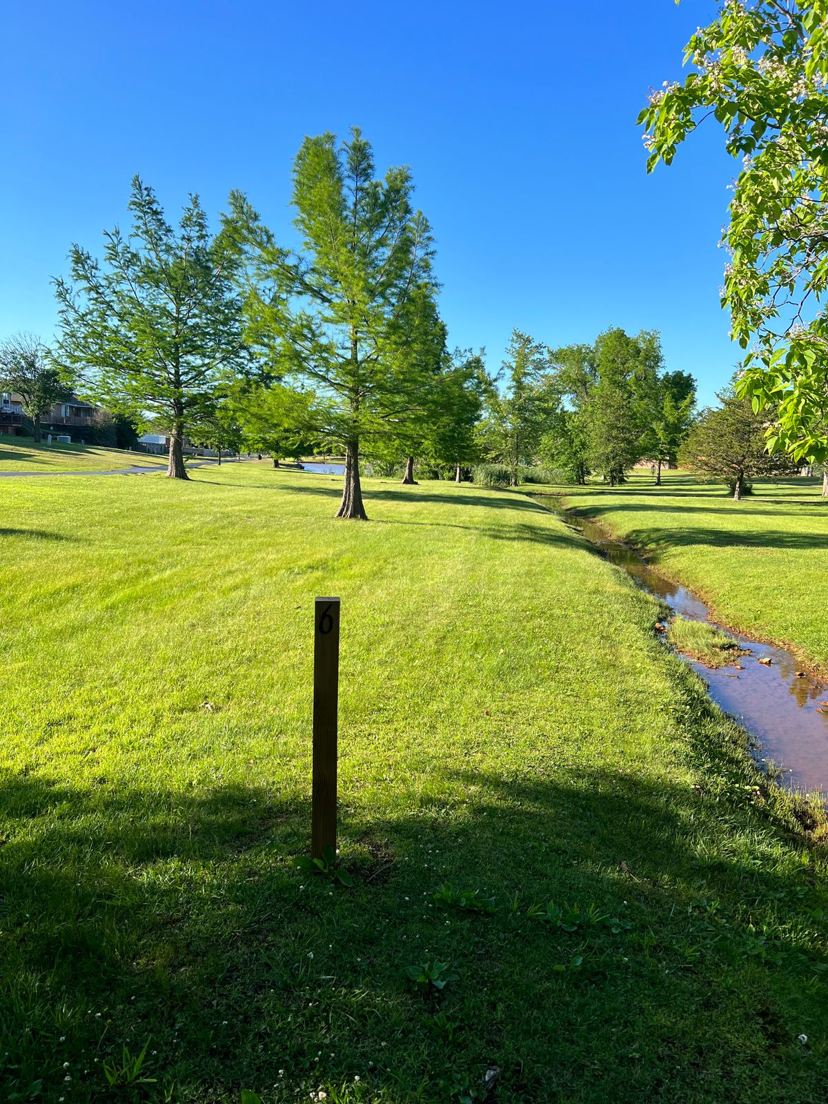 Hole #6