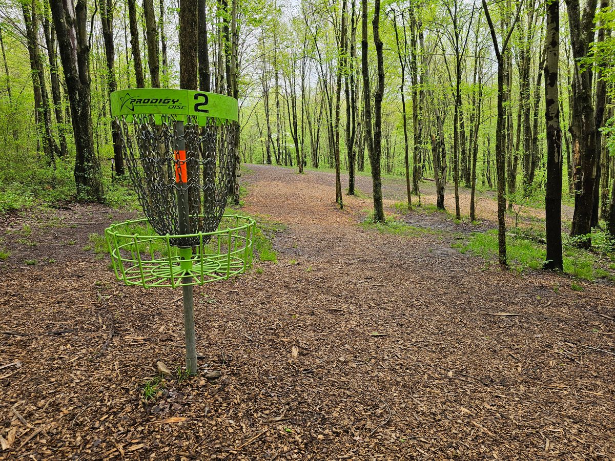 Looking back the fairway from 2c