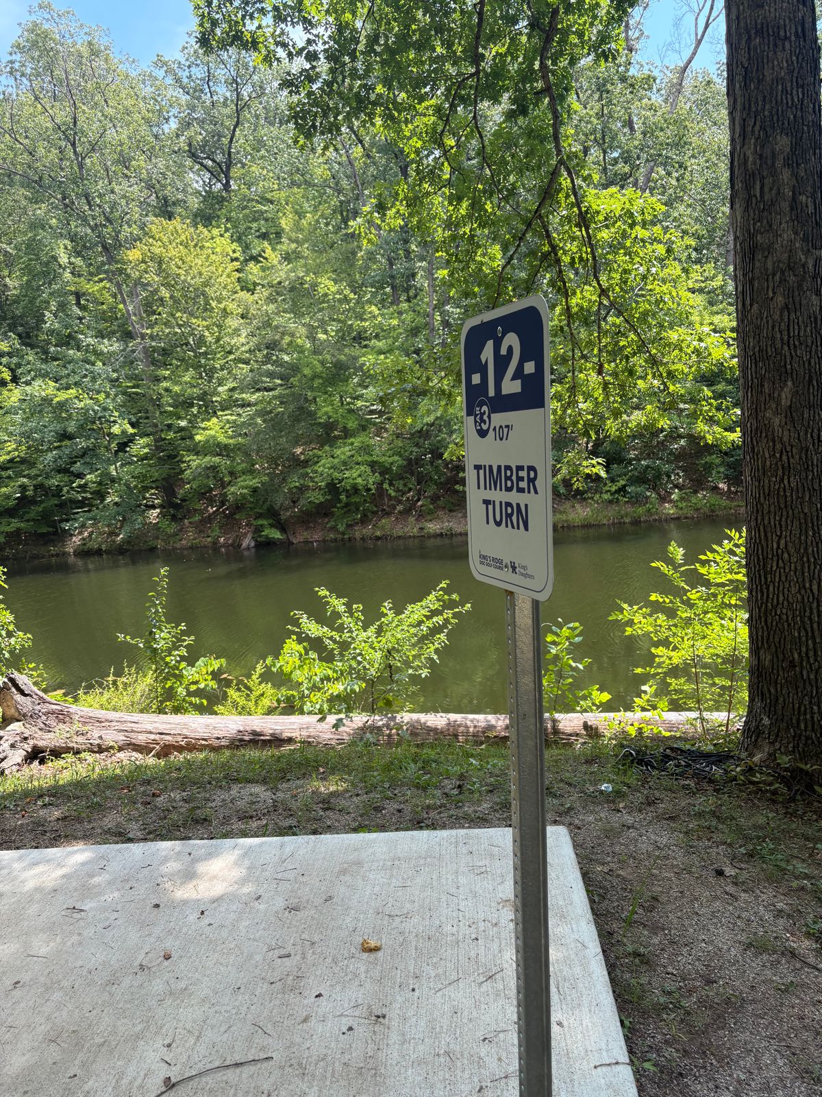 Hole 12 - signage facing toward basket, kinda through me off for a second.