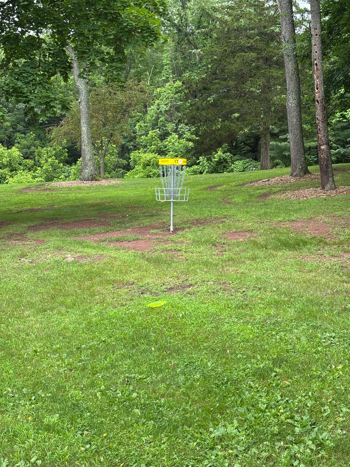 17th Basket