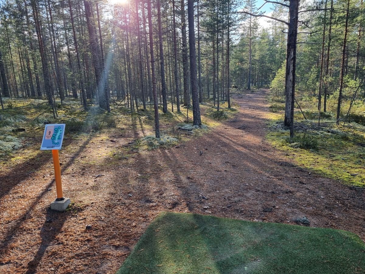 Väylä 9, lyhyehkö metsätunneli taittaen oikealle