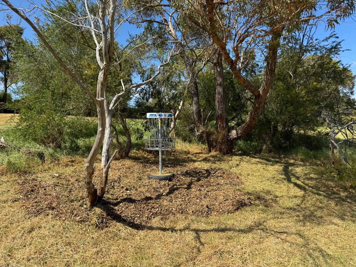 Basket on hole 2/11 has been cleaned up