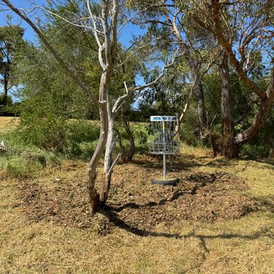 Basket on hole 2/11 has been cleaned up