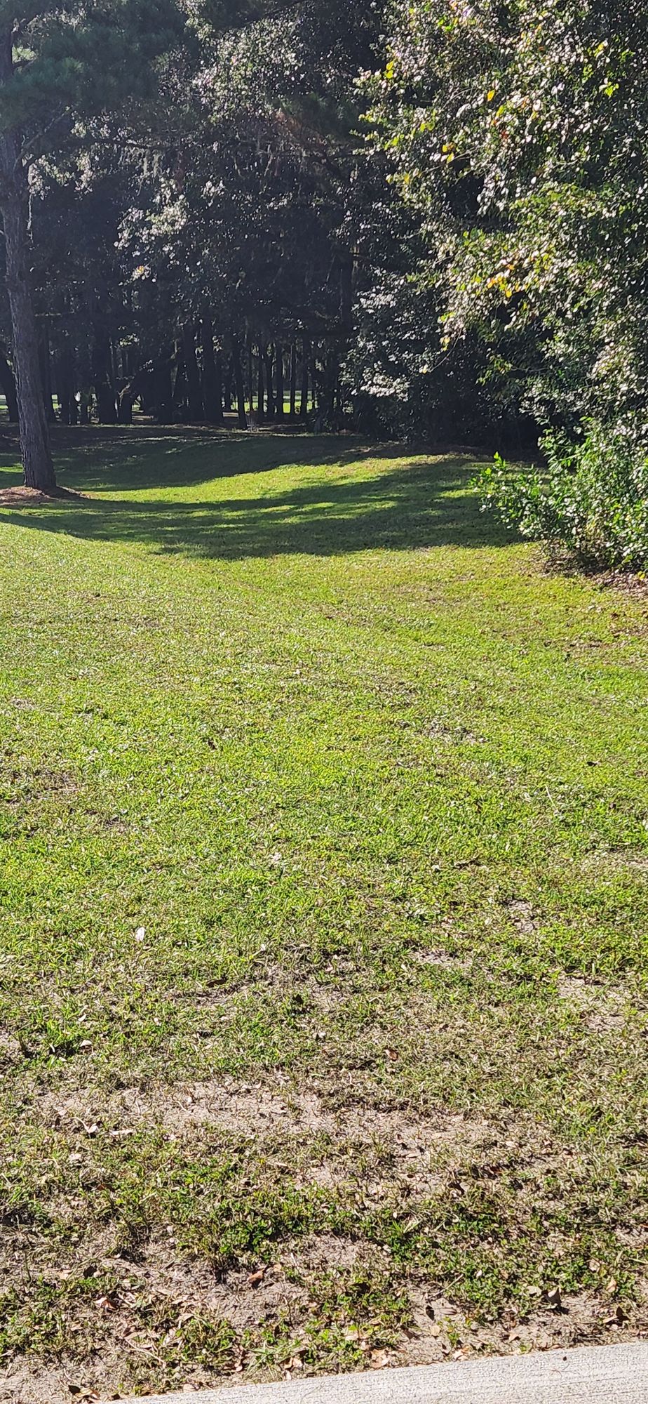 #2 tee pad looking to the basket