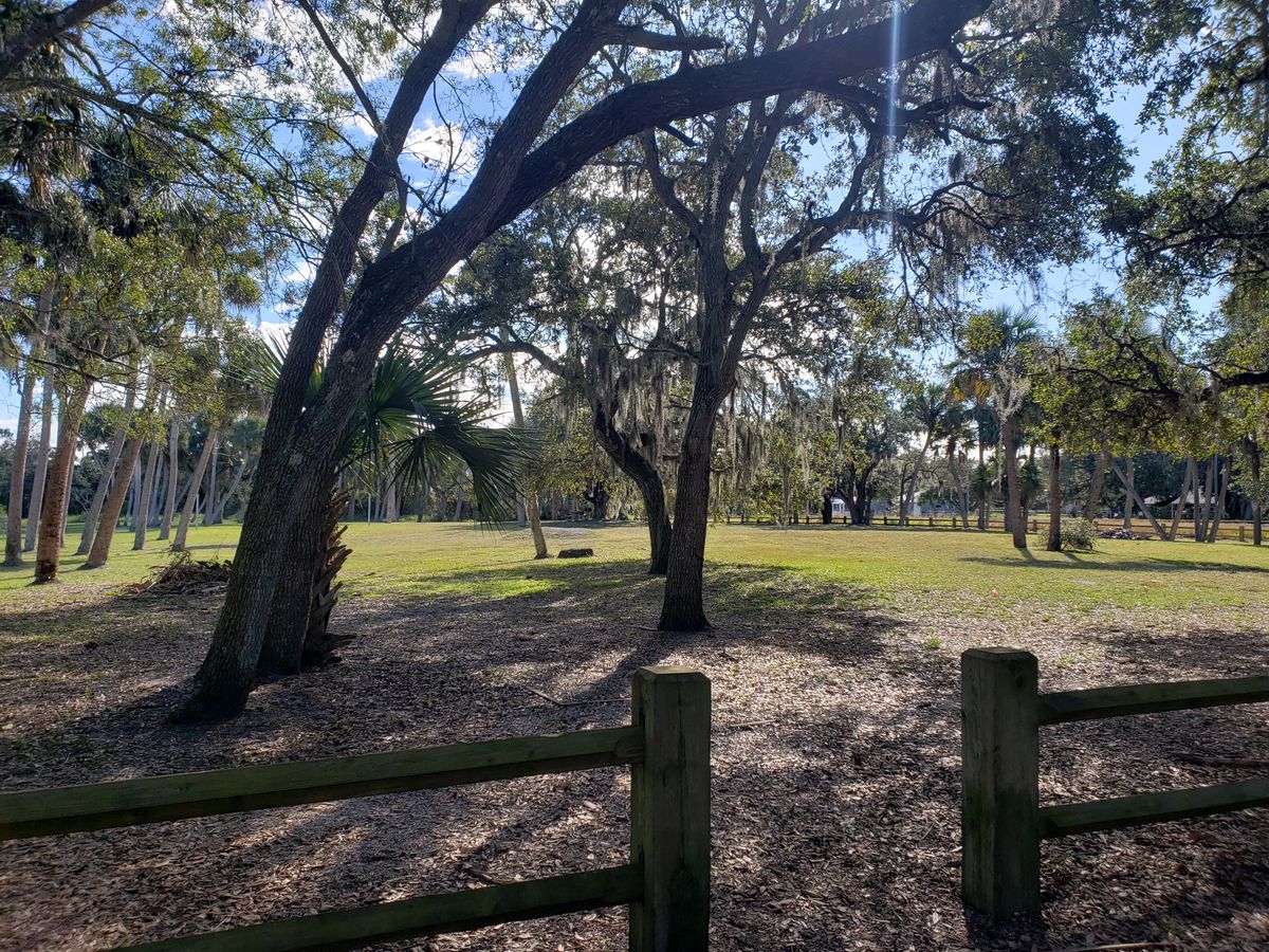 Park picture