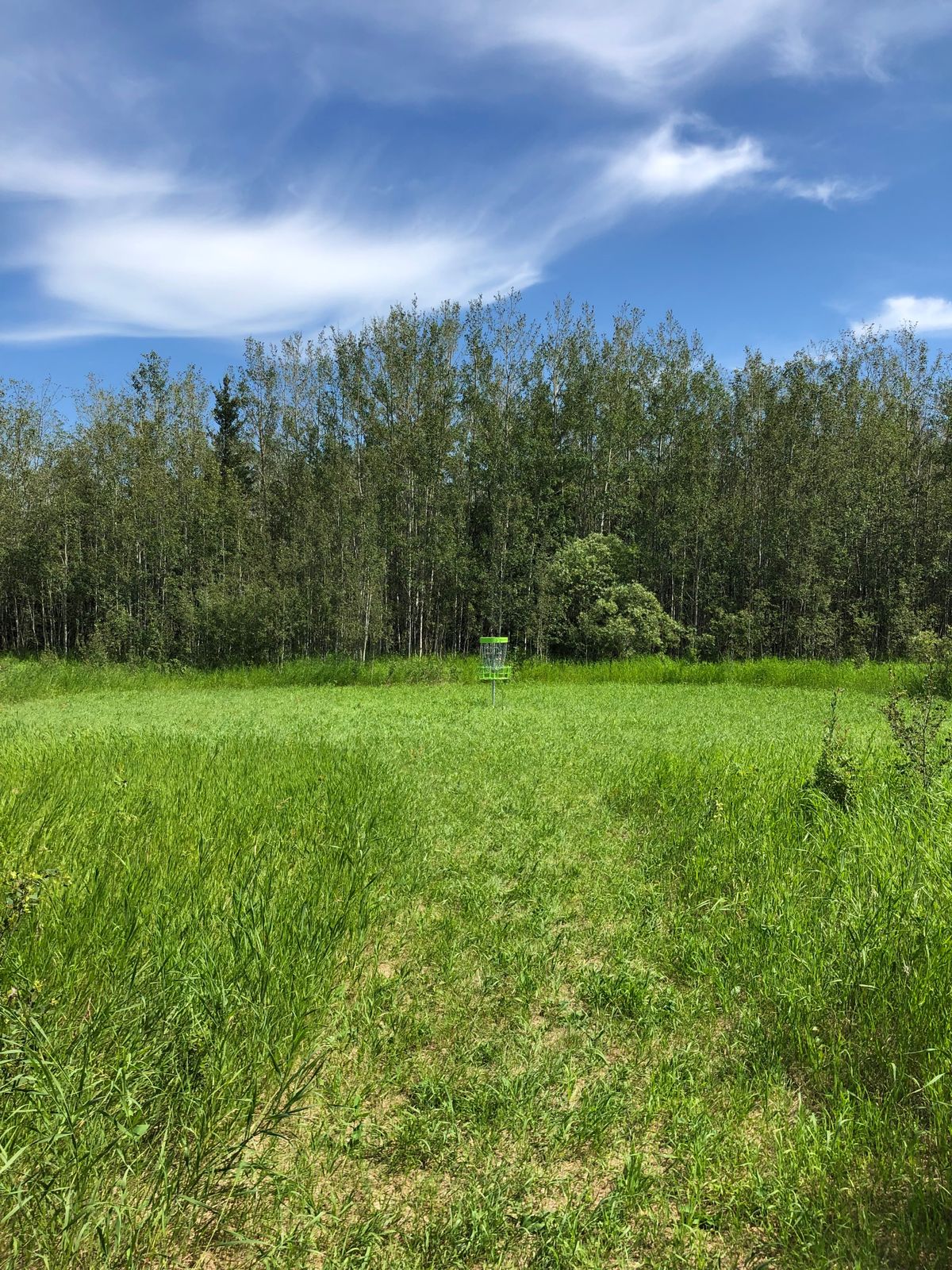 Green on Hole 12