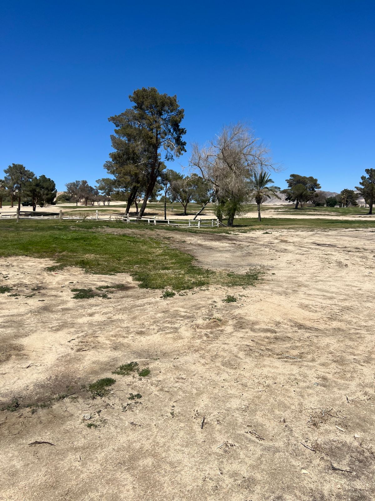 Hole 6!  Fenced area is OB and so is the sand before the basket!