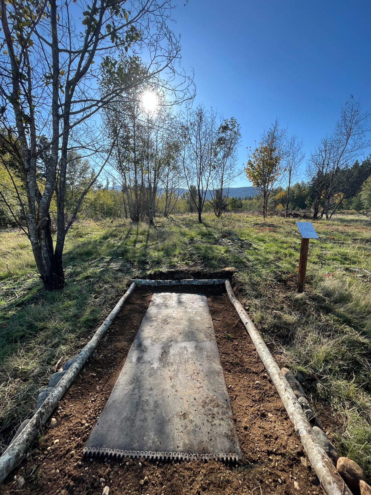New tee pad location on hole #7