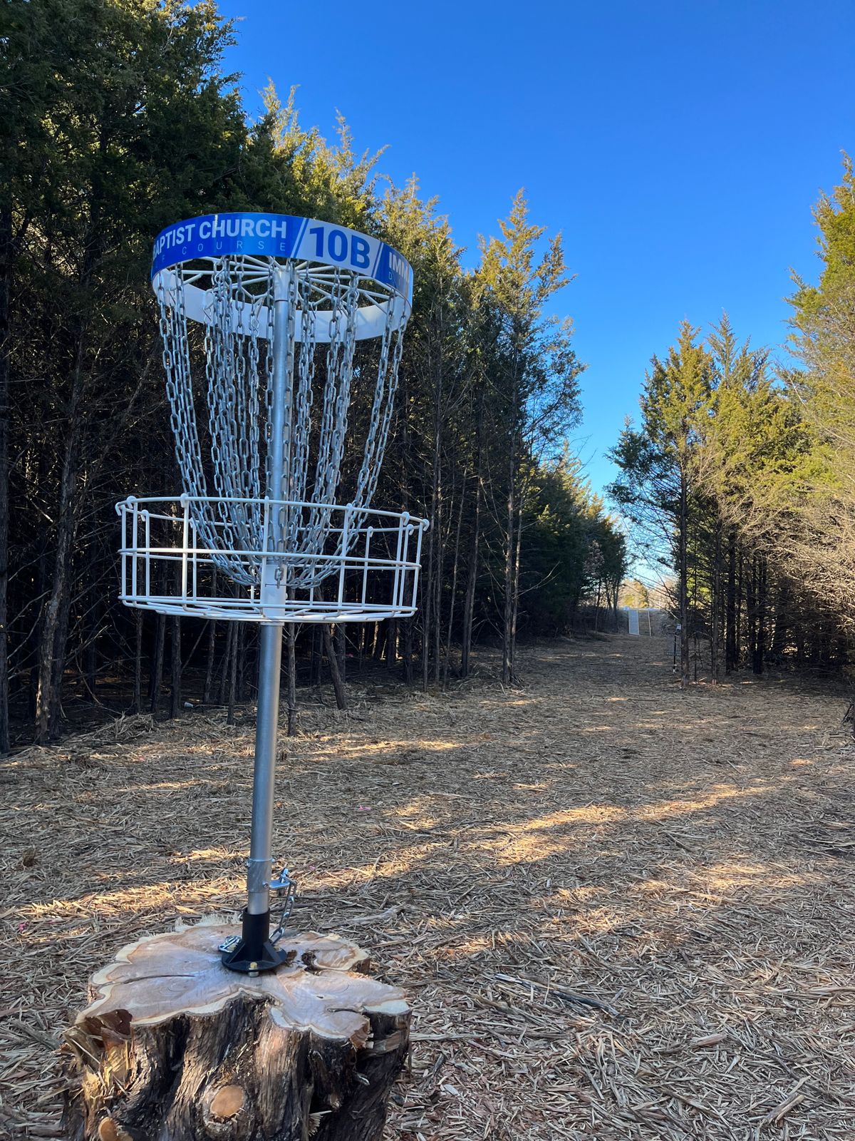 Hole 10B is drilled into a huge stump!