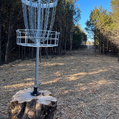 Hole 10B is drilled into a huge stump!
