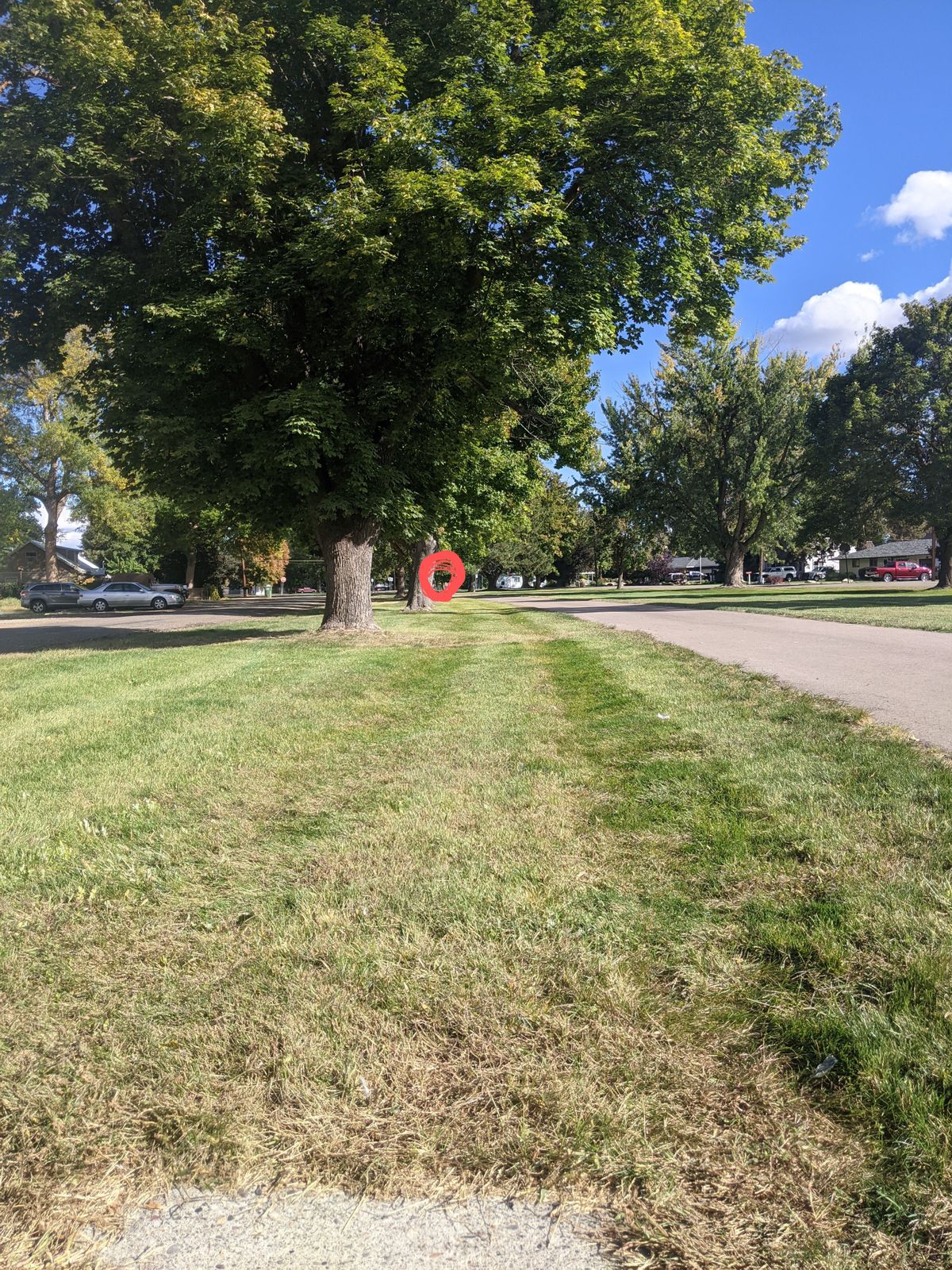 Hole 4 play from hole 3 tee
