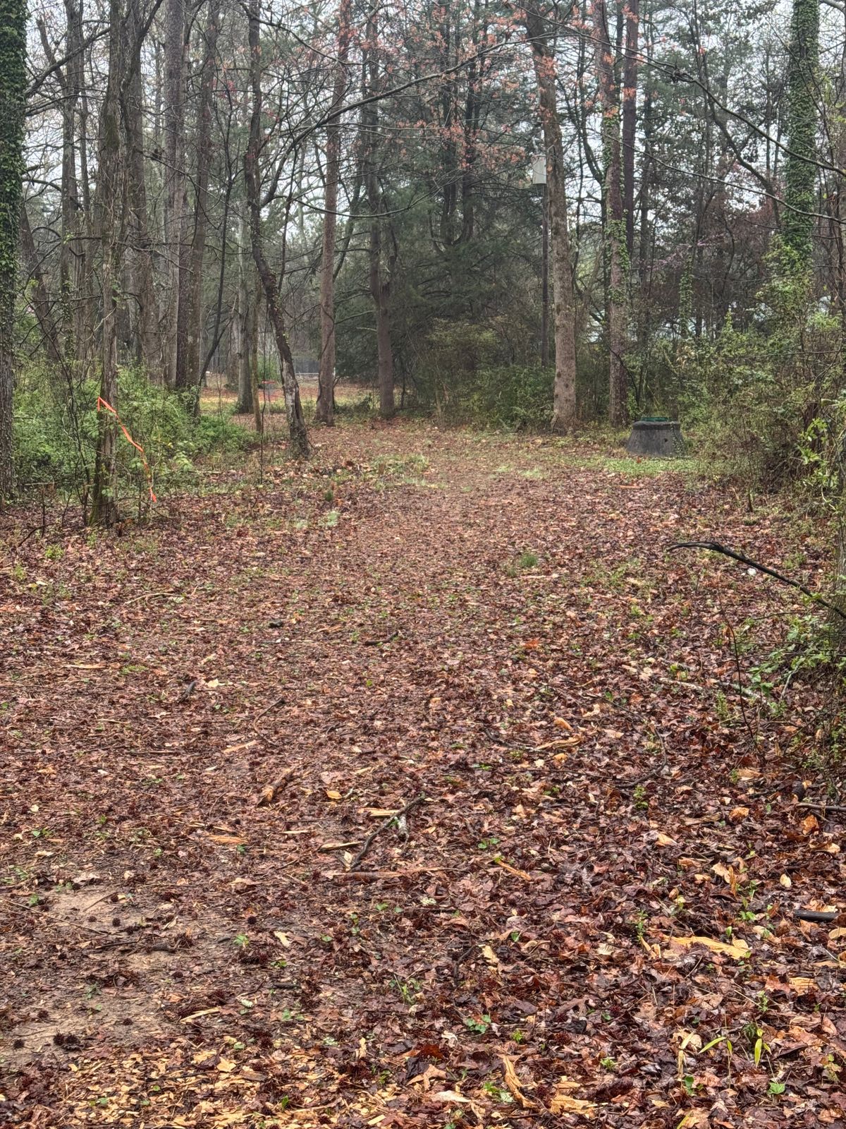 Tee shot view 12